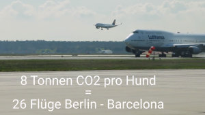 8 Tonnen CO2 pro Hund für Hundefutter pro Jahr, das entspricht 26 Flügen Berlin-Barcelona